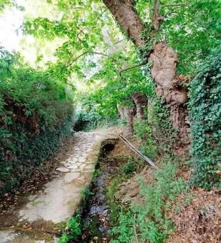 Βίλα River Stone *